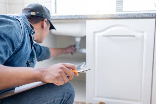 Best Leak Detection Services  in Kalaheo, HI